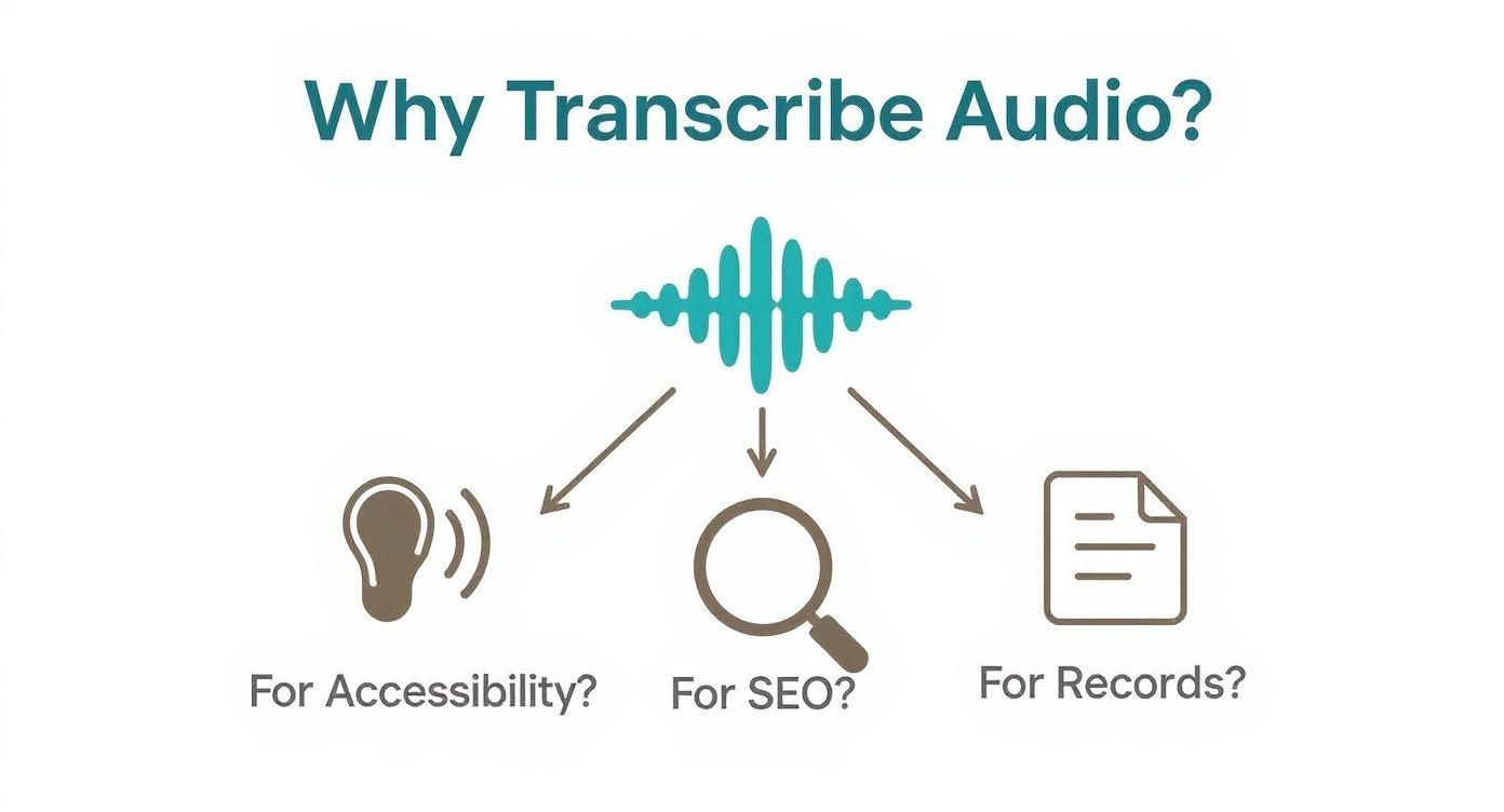 Infographic decision tree asking 'Why Transcribe Audio?' with branches for Accessibility, SEO, and Records.
