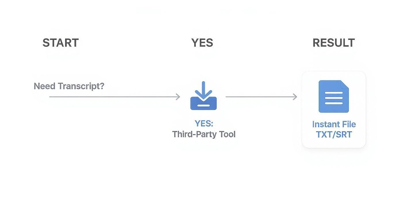 Flowchart illustrating the process of obtaining an instant TXT or SRT transcript file via a third-party tool.