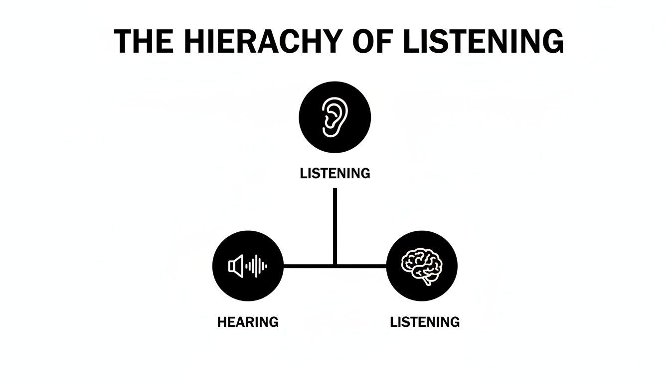 Hierarchy of Listening diagram showing ear, speaker, and brain icons representing hearing and listening.
